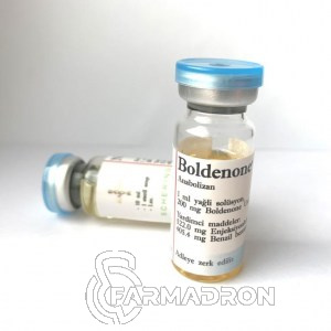 BOLD-BAYER-NEW