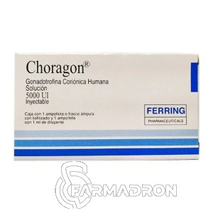 Horagon5000