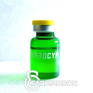 TestCipik