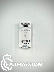 TrenE7