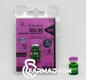 chang-bold-max-1024x10242222222