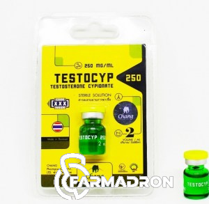 cipik_chang2ml7
