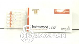 test_enka